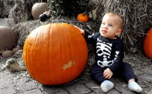 Little boy dressed as skeleton holds halloween pumpkin