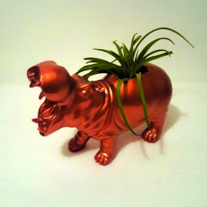 Copper hippo air plant(er)