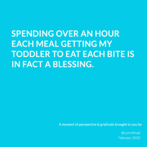 Motivational Perspective on Toddler Meal Time